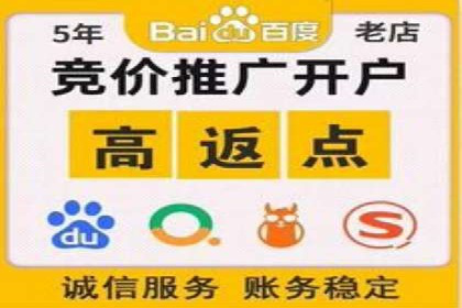 某某SEM服务公司如何帮助企业实现ROI最大化